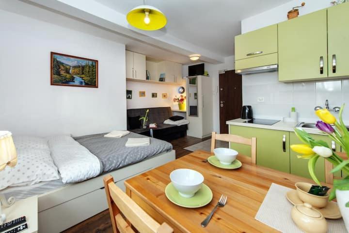 Cosy Studio Apartment 克拉科夫 外观 照片