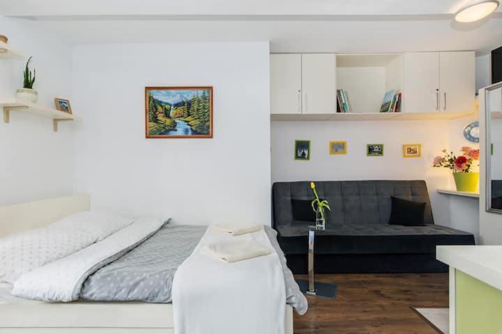 Cosy Studio Apartment 克拉科夫 外观 照片