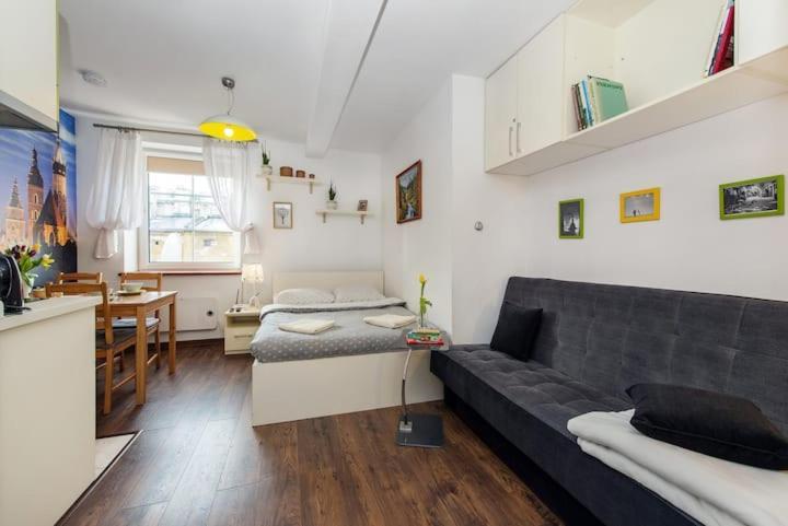 Cosy Studio Apartment 克拉科夫 外观 照片